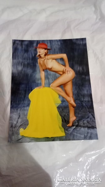 Large color picture, nude photo, made for an exhibition, about A3 size