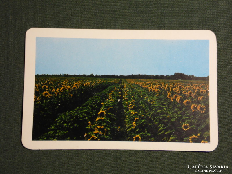 Card calendar, vegetable oil detergent industry company, Szolnok, sunflower cooking oil, 1980, (4)
