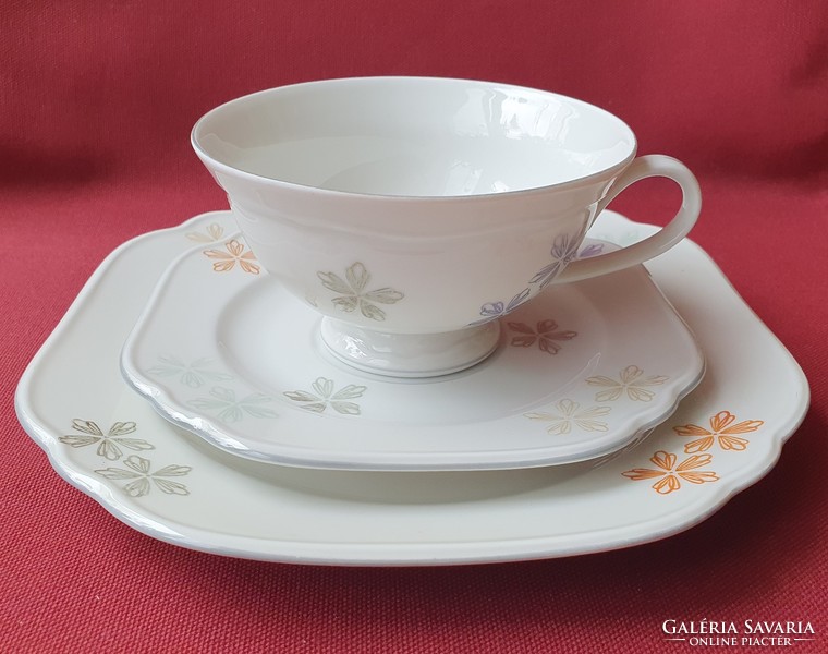 Lettin German porcelain breakfast set coffee tea cup saucer small plate with flower pattern plate