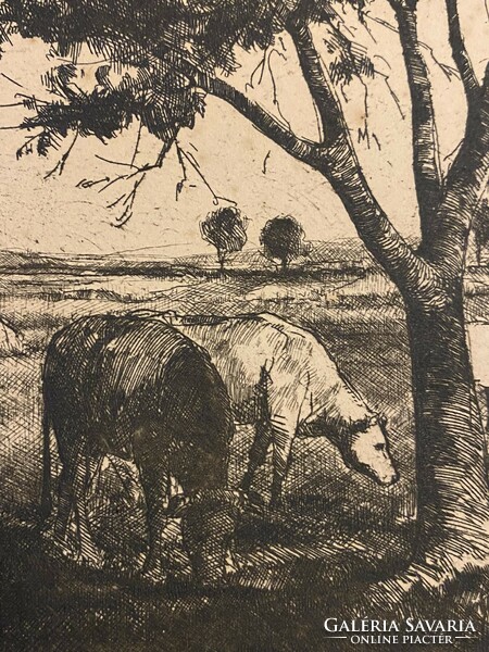 Kovács - beautiful etching in a meadow