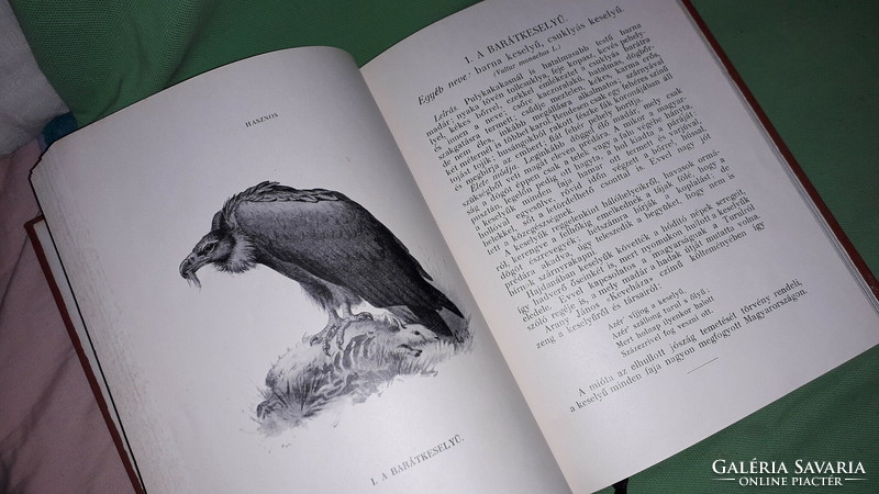 1914. Otto Herman: a book on the benefits and harms of birds according to pictures m. Out. F. Ministry of Affairs