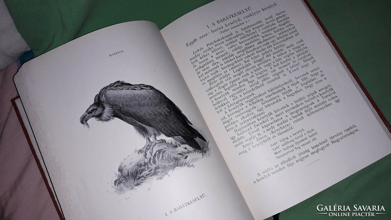 1914. Herman Ottó :A madarak hasznáról és káráról könyv képek szerint 	M. Kir. F.ügyi  Minisztérium