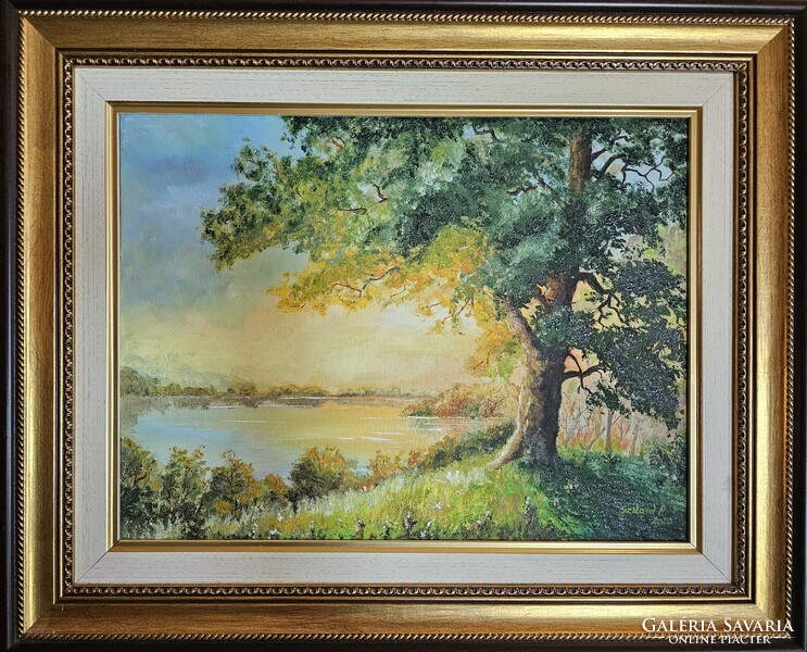 Solid aniko: golden sky, 30x40cm, oil, canvas + frame!