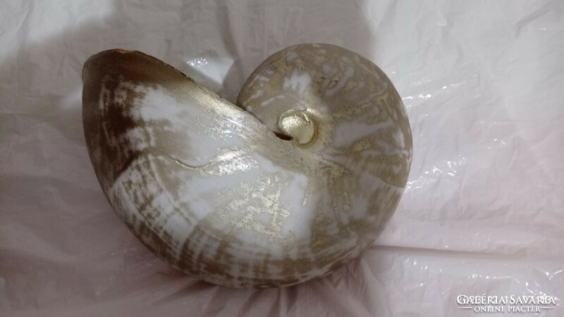 Giant snail house, 22 cm large sea shell house, decoration