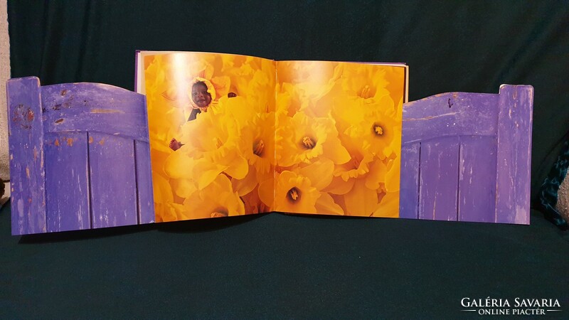 Anne Geddes photo album, photo book