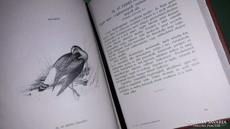 1914. Herman Ottó :A madarak hasznáról és káráról könyv képek szerint 	M. Kir. F.ügyi  Minisztérium