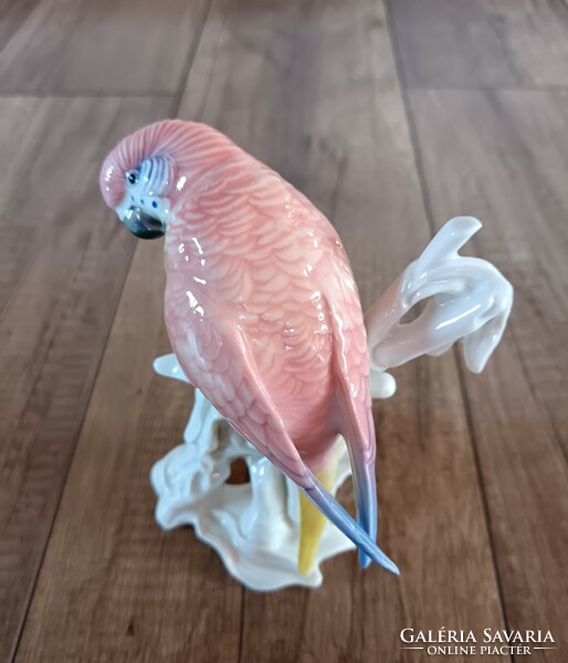 Antique porcelain parrot