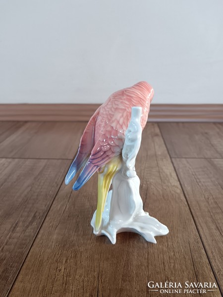 Antique porcelain parrot