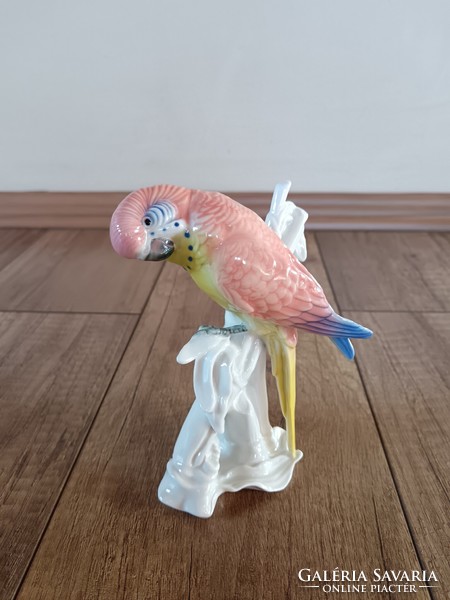 Antik Ens porcelán papagáj