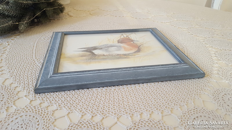 Framed art print with a picture of a waterfowl