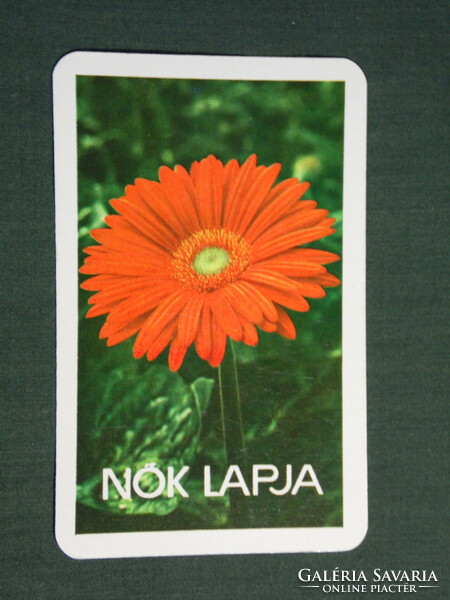 Kártyanaptár, Nők Lapja havilap, újság, magazin, virág, gerbera, 1980,   (4)