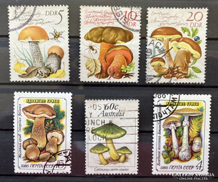 Stamps with mushrooms motif