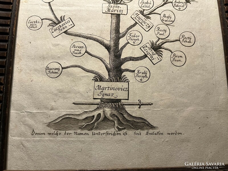 Cheaper!!!Very rare! Martinovics martyr tree!!! 1795!