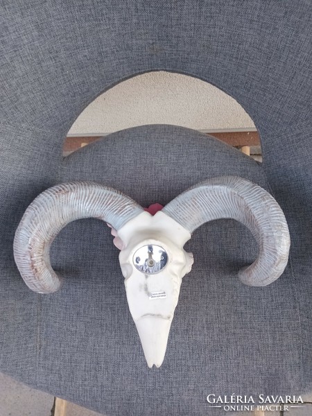 Aries wall decoration. Negotiable.