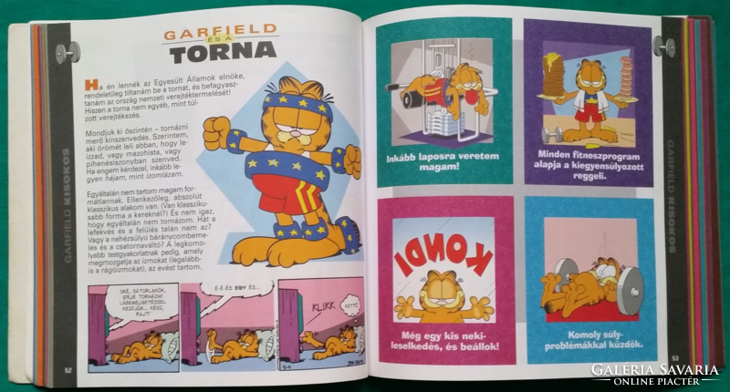 Jim davis: garfield kisokos > children's and youth literature > magazine