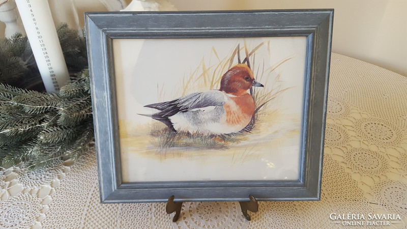 Framed art print with a picture of a waterfowl