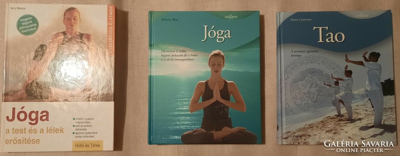 Népszerű jóga + Tao könyvek (3 db)