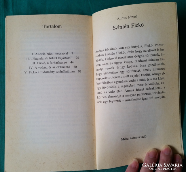 'Annus József: Szintén Fickó  > Gyermek- és ifjúsági irodalom >1980- s kiadás