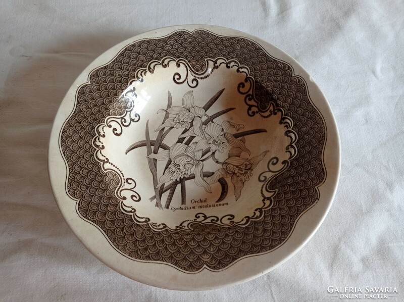 English orchid plates for sale