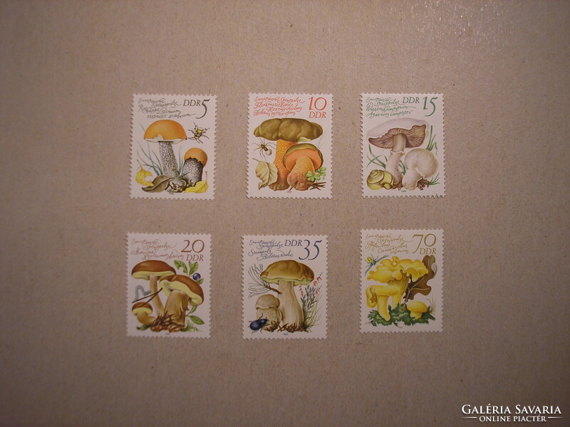 Germany, DDR flora, fungi 1980