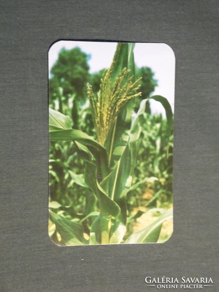 Card calendar, agricultural combine, corn, 1981, (4)