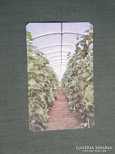 Kártyanaptár, Kecskemét Agroker mezőgazdasági üzletek, fólia sátor , 1981,   (4)
