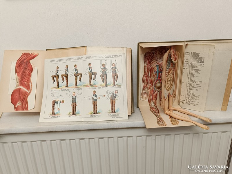Antik természetgyógyász könyv orvosi szakkönyv francia nyelvű 2 kötet 817 8259