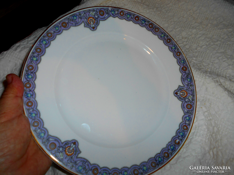 Antique haas & czjzek schlaggenwald porcelain plate 24.5 cm