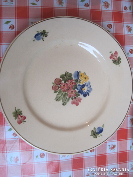 Tyrolean hand-painted plates.