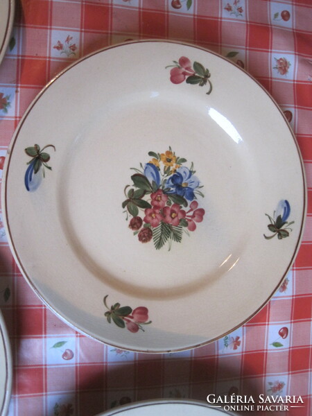 Tyrolean hand-painted plates.