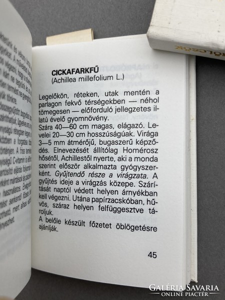 Tolnai Kálmán: Vadon termő tea és fűszernövények, számozott (235/500), limitált minikönyv, gyűjtői