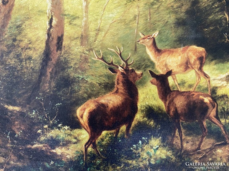 Hunting scene - print in an antique blonde frame - deer in the forest light