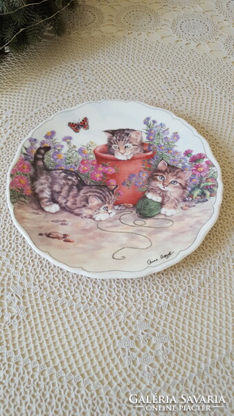 English royal albert cat, butterfly porcelain plate, decorative plate