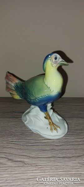 Rare, flawless ens volkstedt porcelain bird, pheasant