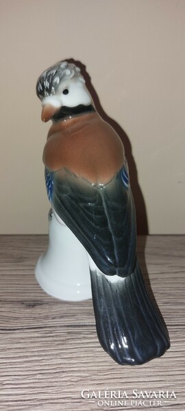 Hibátlan, ritka ENS Volkstedt porcelán madár, szajkó