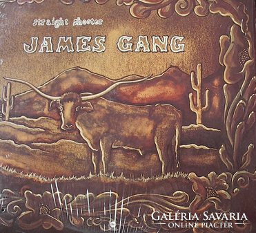 James Gang - Straight Shooter (LP, Album)