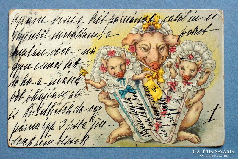 Antik humoros grafikus üdvözlő  képeslap -   Sertés mama malac ikreivel 1900ból