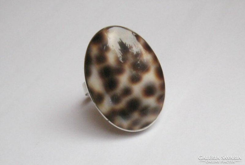 Unique silver ring, with snail shell insert, adjustable size!