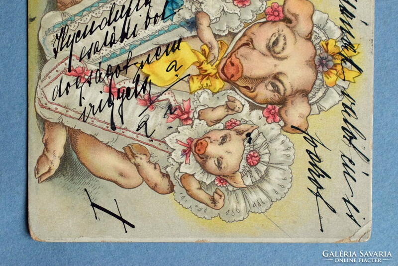 Antik humoros grafikus üdvözlő  képeslap -   Sertés mama malac ikreivel 1900ból