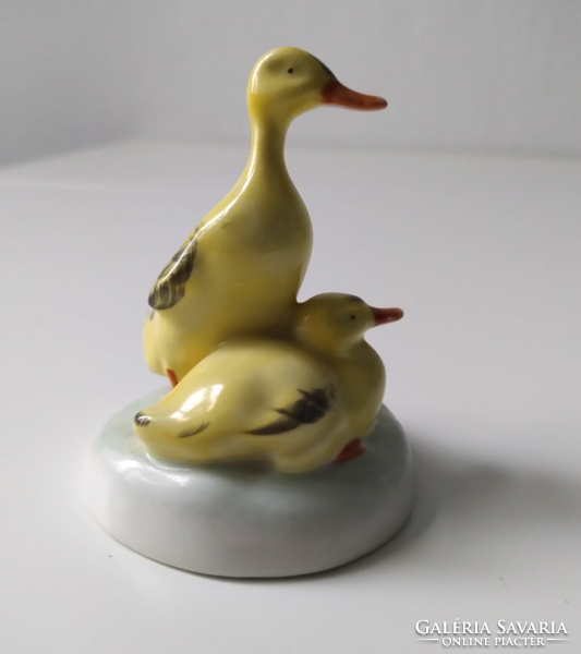 Flawless aquincum porcelain ducks