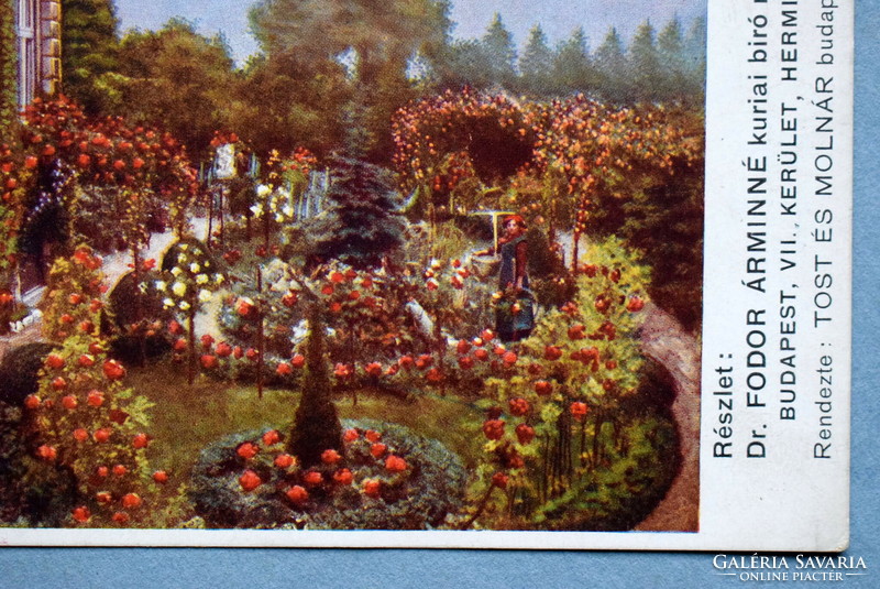 Excerpt from the garden of the wife of curia judge Árminné Dr. Fodor - organized by Tost and Molnár's landscape gardening