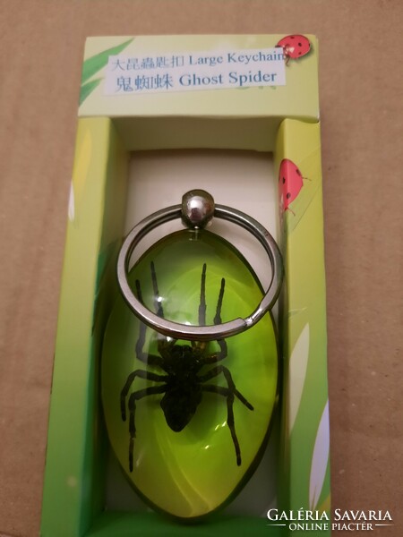Ghost spider keychain, large size, real insect, negotiable