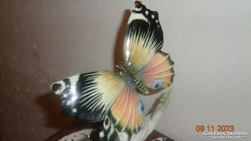 Ens. Butterflies, beautiful, 24 cm