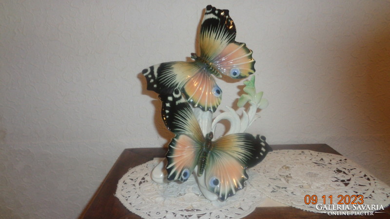 Ens. Butterflies, beautiful, 24 cm