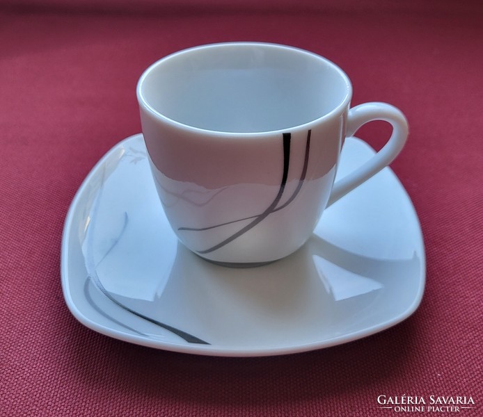 Wellco German porcelain coffee set cup saucer plate