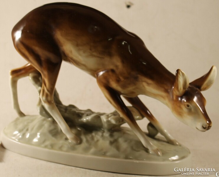 Royal dux signed fawn