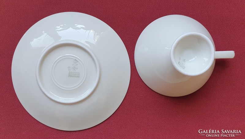Bavaria elfenbein German porcelain coffee tea set cup saucer plate with rich pattern