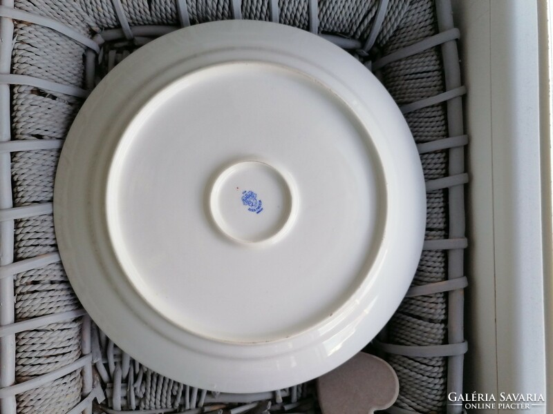 Alföldi centrum varia (covid) patterned roast dish