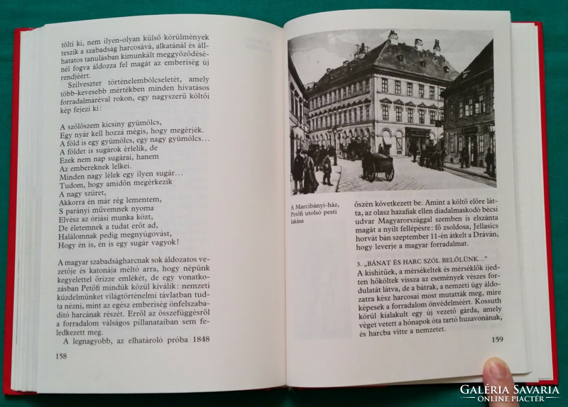 This is how Sándor Fekete, the poet of the freedom struggle, lived - Sándor Petőfi > children's and youth literature