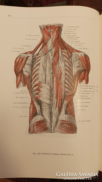 Atlas of human anatomy i-ii-iii.